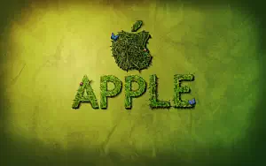 Apple    HD 