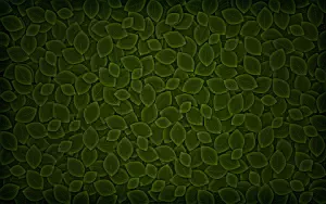     HD 