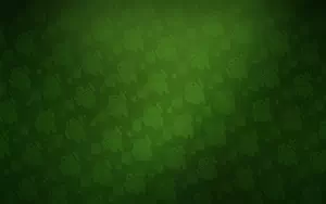     HD 