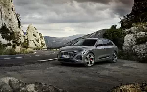 Audi Q8 55 e-tron quattro     