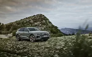 Audi Q8 55 e-tron quattro     