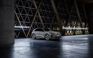 Audi Q8 55 e-tron quattro     