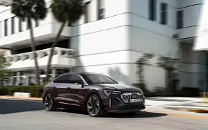 Audi Q8 Sportback 55 e-tron quattro     