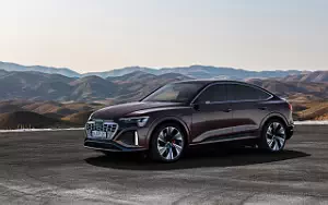 Audi Q8 Sportback 55 e-tron quattro     