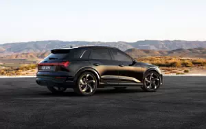 Audi SQ8 e-tron quattro     