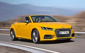 Audi TTS Roadster     