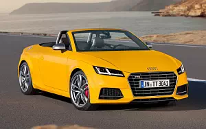 Audi TTS Roadster     