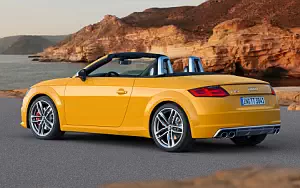 Audi TTS Roadster     