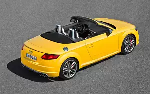 Audi TTS Roadster     