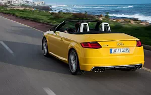 Audi TTS Roadster     