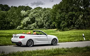 BMW 220d Convertible M Sport     