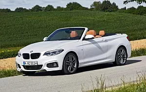 BMW 220d Convertible M Sport     