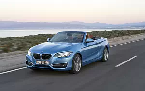 BMW 230i Convertible Luxury Line     