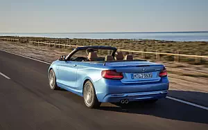 BMW 230i Convertible Luxury Line     