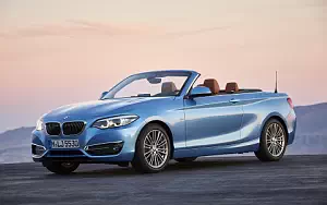 BMW 230i Convertible Luxury Line     