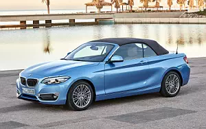 BMW 230i Convertible Luxury Line     