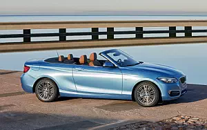 BMW 230i Convertible Luxury Line     
