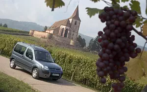 Citroen Berlingo Multispace     