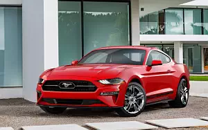 Ford Mustang Pony Package     