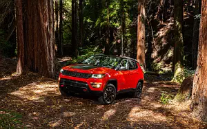 Jeep Compass Trailhawk     