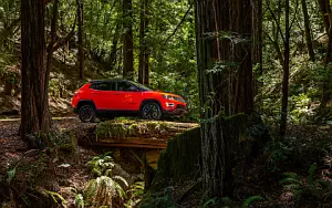 Jeep Compass Trailhawk     