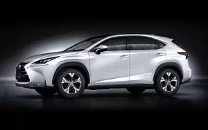 Lexus NX 300h     