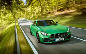 Mercedes-AMG GT R     