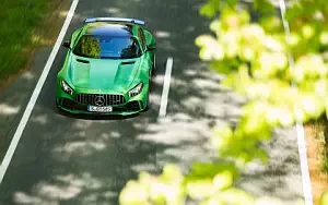 Mercedes-AMG GT R     