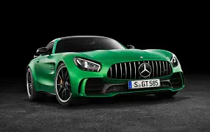 Mercedes-AMG GT R     