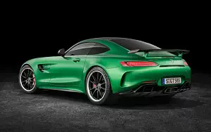 Mercedes-AMG GT R     