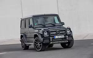 Mercedes-AMG G 63 EDITION 463     