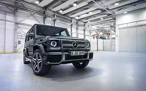 Mercedes-AMG G65     