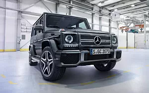 Mercedes-AMG G65     