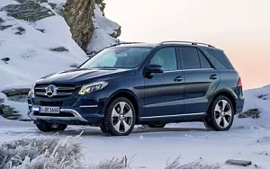 Mercedes-Benz GLE 250 d 4MATIC     