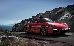 Porsche Cayman GTS     