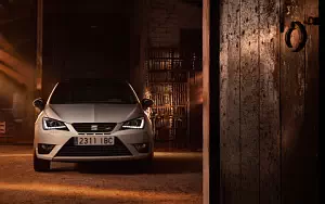 Seat Ibiza Cupra     