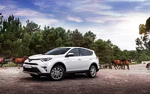 Toyota RAV4 Hybrid     