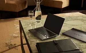 Sony Vaio     HD 