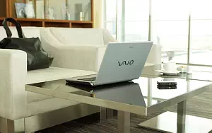 Sony Vaio     HD 