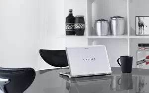 Sony Vaio     HD 