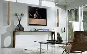 Bang & Olufsen BeoVision 10 46 Chanterelle with BeoLab 6002 Chanterelle    HD 