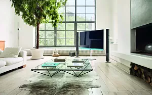 Loewe TV    HD 