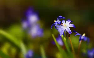     HD 