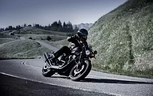 Harley-Davidson Sportster XR1200X   HD   