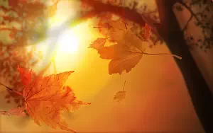     HD 