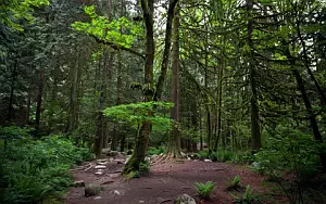     HD 