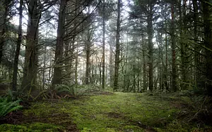     HD 