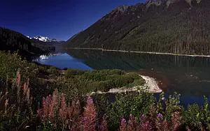     HD 