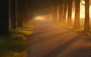     HD 
