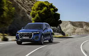 Audi Q7 55 TFSI quattro S line  